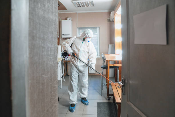 Forensic Mold Investigation in Cedar Hills, OR