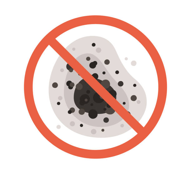 Best Comprehensive Air Testing for Mold Contaminants  in Cedar Hills, OR