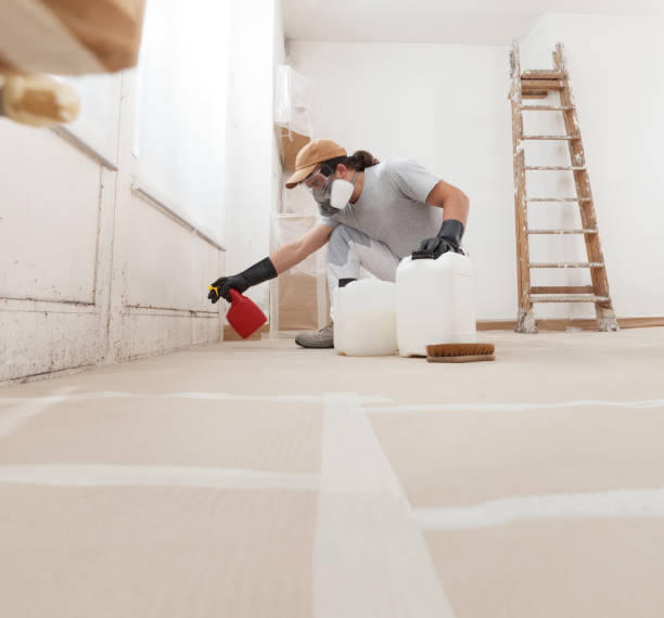 Best Crawl Space Mold Remediation  in Cedar Hills, OR