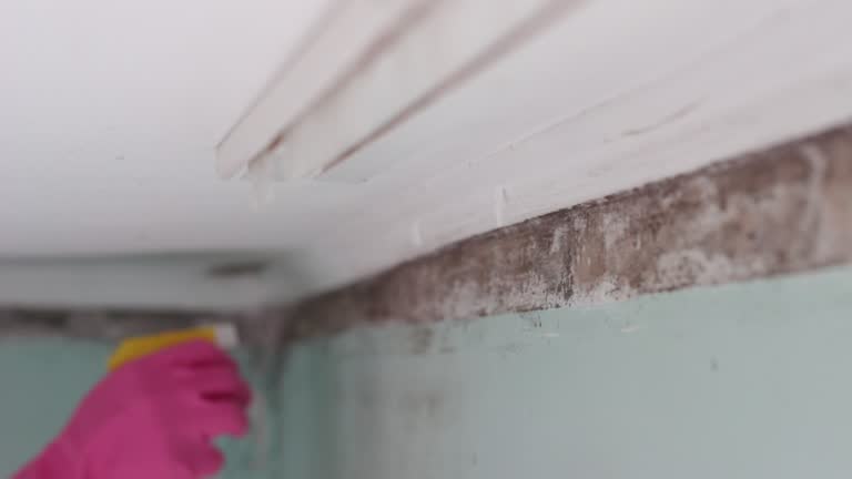 Best Dehumidification Services  in Cedar Hills, OR